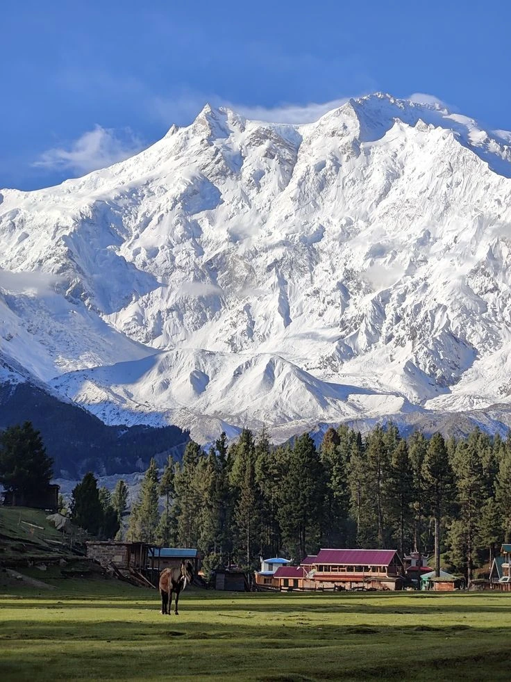 Lush green Fairy Meadows with snow-capped Nanga Parbat mountLush green Fairy Meadows with snow-capped Nanga Parbat mountain in the background.Lush green Fairy Meadows with snow-capped Nanga Parbat mountain in the background.Lush green Fairy Meadows with snow-capped Nanga Parbat mountain in the background.Lush green Fairy Meadows with snow-capped Nanga Parbat mountain in the background.ain in the background.